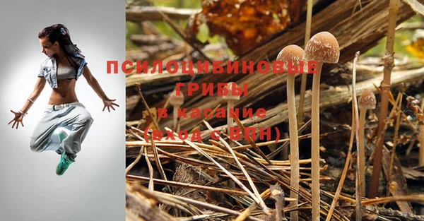 молекула духа Пестово