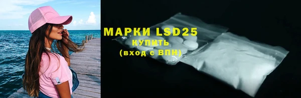 прущие грибы Балахна