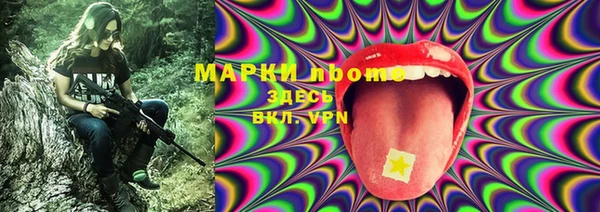 прущие грибы Балахна
