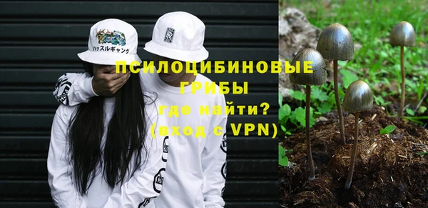 прущие грибы Балахна
