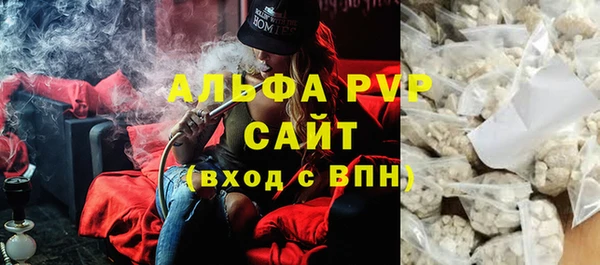 прущие грибы Балахна