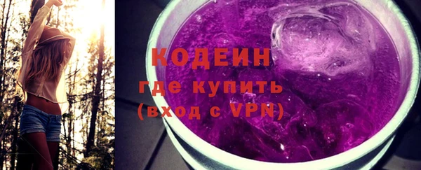 молекула духа Пестово