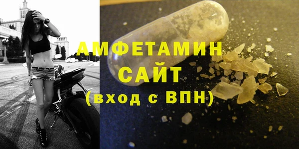 прущие грибы Балахна