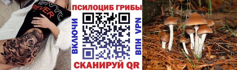 Галлюциногенные грибы мицелий  Няндома 
